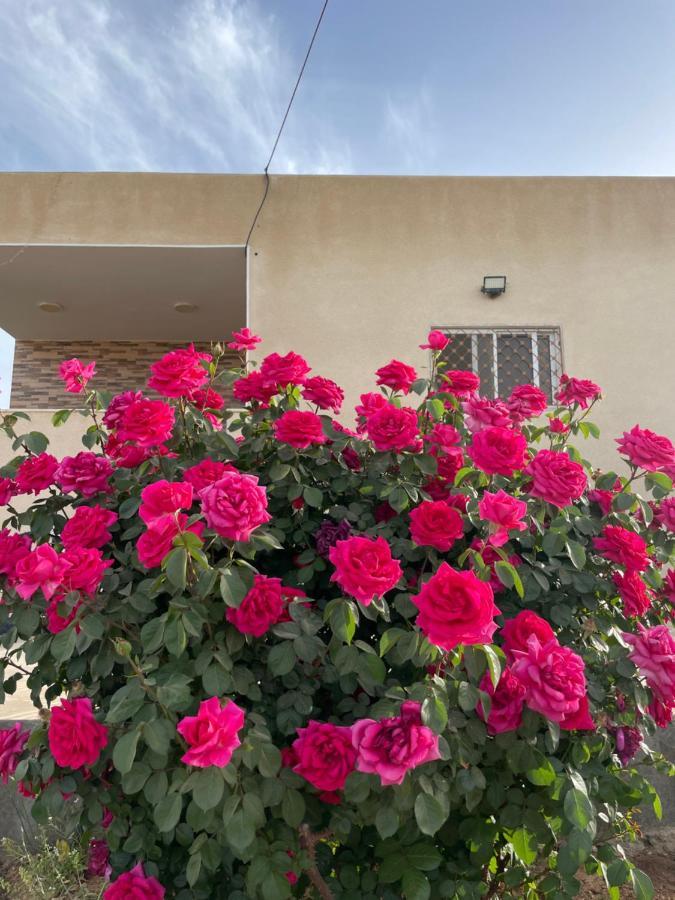 مزرعة النجم Najem Farm Villa Al-Qasr Exterior photo