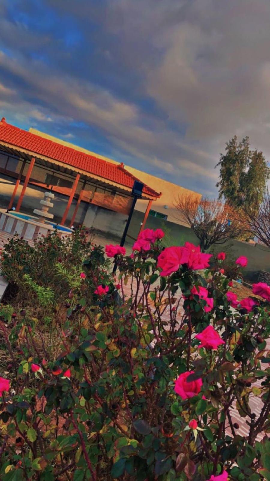 مزرعة النجم Najem Farm Villa Al-Qasr Exterior photo